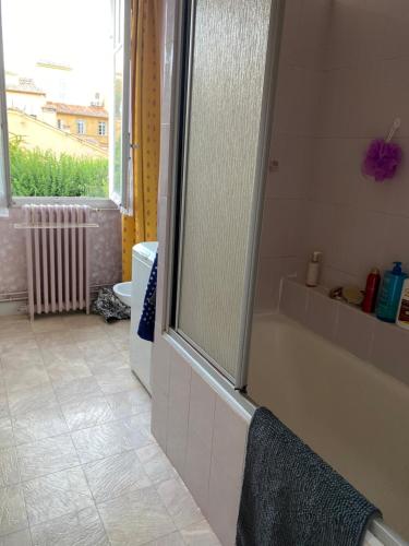 a bathroom with a bath tub and a window at Quartier Mazarin in Aix-en-Provence