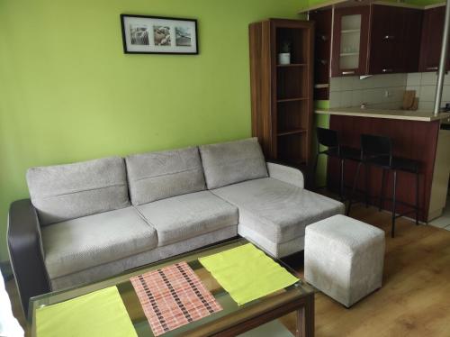 Zona d'estar a Apartament Stróżowska