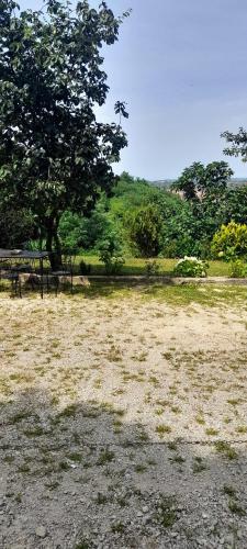 a field with a picnic table and a tree at Hortensia in Buje