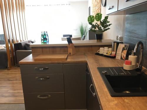 Η κουζίνα ή μικρή κουζίνα στο Apart-Hotel VIVI RESIDENCE & SPA
