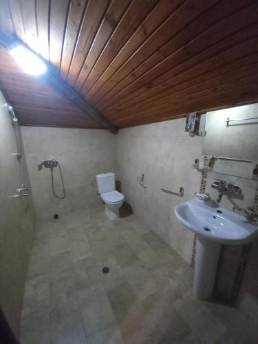 a bathroom with a sink and a toilet and a light at Хотел Макензен in Melnik