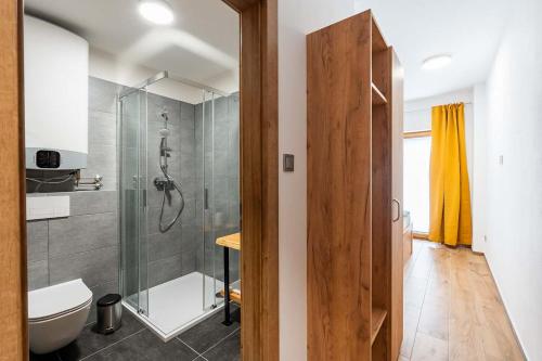 a bathroom with a shower and a toilet and a sink at Nevinný sklep in Znojmo
