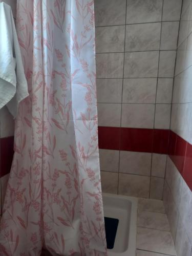uma cortina de chuveiro na casa de banho com lavatório em Apartman Malahov em Posedarje