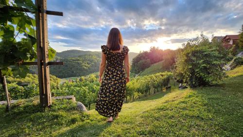 a woman standing on a hill looking at a vineyard at Vineyard cottage Podržaj in Otočec