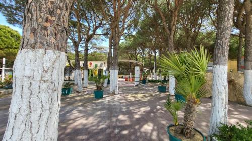 a group of trees with plants in pots at BELLISSIMA CASA AL MARE CON VISTA MOZZAFIATO in Golem
