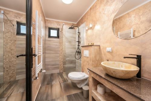 a bathroom with a sink and a toilet and a mirror at Ellys Residence in Voroneţ