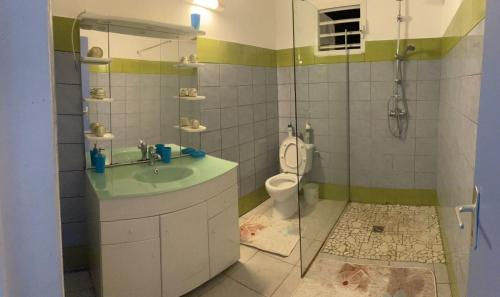 a bathroom with a shower and a sink and a toilet at Dyna 2 bedroom house in Sainte-Rose