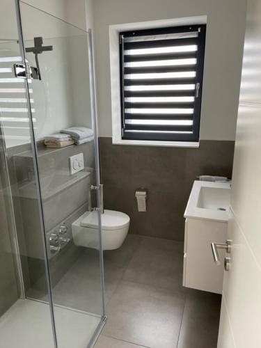 a bathroom with a toilet and a glass shower at A1 Unterkunft in Hollenstedt