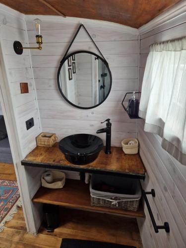 a bathroom with a sink and a mirror at Giséle Peniche 1930 in Dole