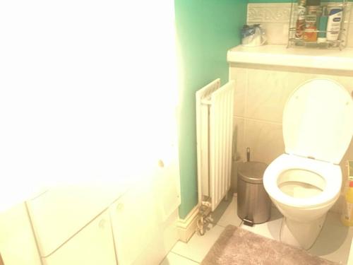 - une salle de bains pourvue de toilettes et d'une poubelle dans l'établissement London SW19 2 bed 2 bath private flat, à Londres