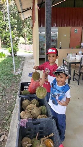 two young boys standing next to a bin of broccoli at Rasa Durio Eco Glampz in Rasa