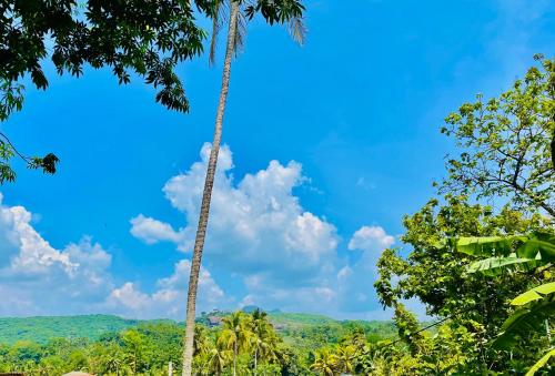 un palmier avec un ciel bleu et des montagnes en arrière-plan dans l'établissement Grand Cabin Pinnawala, à Rambukkana