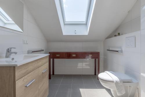 a bathroom with a toilet and a sink and a skylight at Haus Seidendorf in Sankt Kanzian