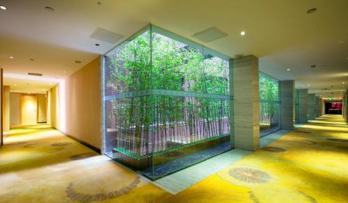 a room with a large window with a tree outside at Guangzhou Ming Yue Hotel in Guangzhou