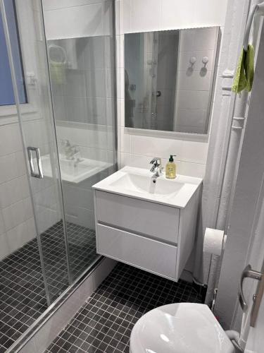 une salle de bain avec un lavabo, une douche et des toilettes dans l'établissement Mystery Base, à Paris