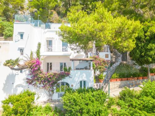 Faraglionensis MonaconeHouse Villa photo 3