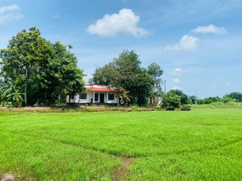 uma casa no meio de um grande campo de relva em VayalMonk - Alleppey Island Isolated Villa resort em Alappuzha