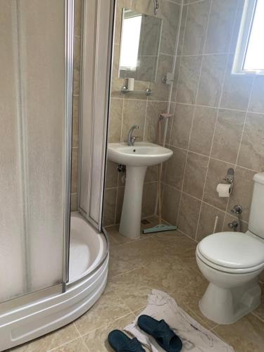 a bathroom with a shower and a toilet and a sink at Rize manzara evi 