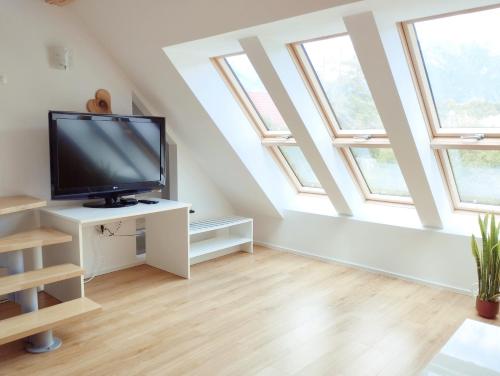 TV a/nebo společenská místnost v ubytování Apartments Wallas