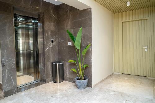 ein Badezimmer mit einer Dusche und einer Topfpflanze in der Unterkunft Dream House in Madinat as-Sadis min Uktubar