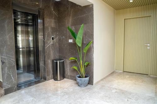 a bathroom with a potted plant next to a shower at Dream House in 6th Of October