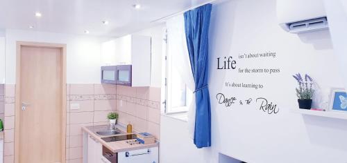Η κουζίνα ή μικρή κουζίνα στο Apartments Sandra in the historical center of the city