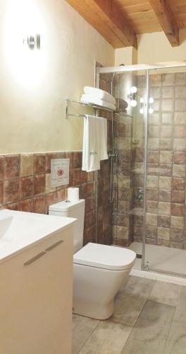 a bathroom with a toilet and a shower at Refugio La Presa in Chulilla