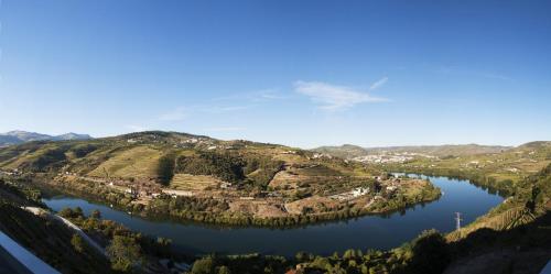 an aerial view of a river with vineyards at Delfim Douro Hotel in Lamego