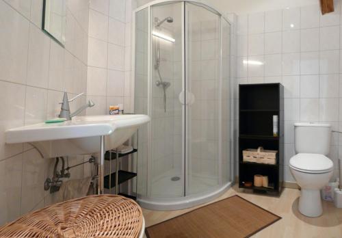 a bathroom with a shower and a sink and a toilet at Grange Des Arts in Saint-Nabor