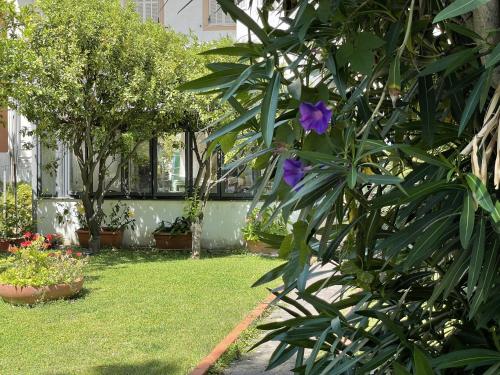 Hotel Rosalia – Photos 2