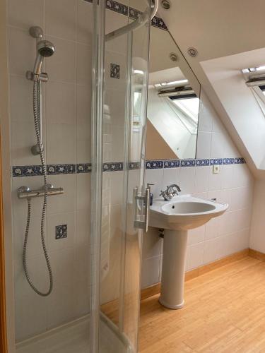 une salle de bain avec douche et lavabo dans l'établissement Le Poulailler, à Loué