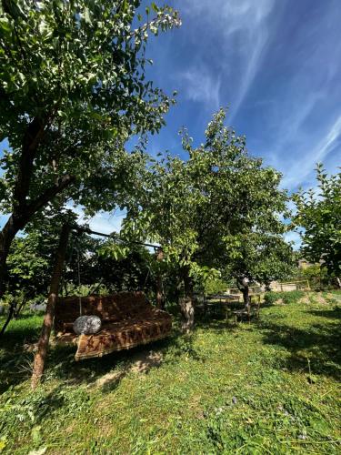 a bed in the grass next to two trees at Arpi-Ureni Guesthouse in Ertich