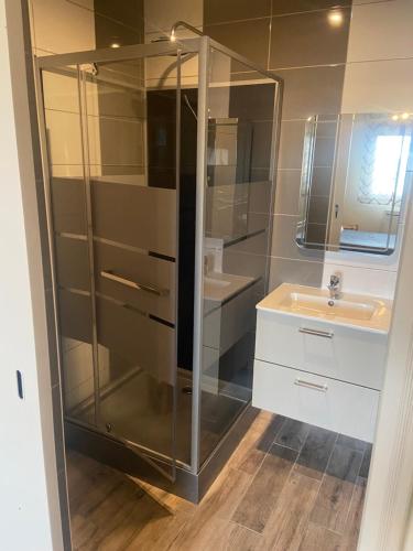 une salle de bain avec une douche en verre et un lavabo dans l'établissement Appartement Le Terral, à Salles-Curan