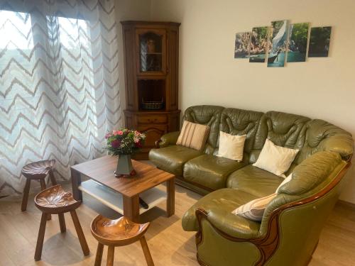 un salon avec un canapé vert et une table dans l'établissement Appartement Le Terral, à Salles-Curan