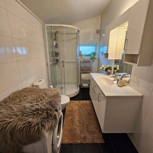 ein Bad mit einer Dusche, einem WC und einem Waschbecken in der Unterkunft Bjørnebu- Ski in-ski out in Kvam