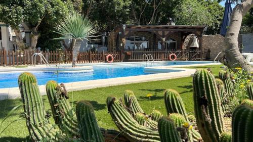 a bunch of cactuses in front of a swimming pool at Casita Las Malvinas en Villa de Nijar con piscina in Níjar