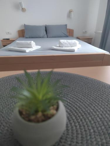 a plant in a pot sitting on a bed at APARTMANI VALJEVO in Valjevo