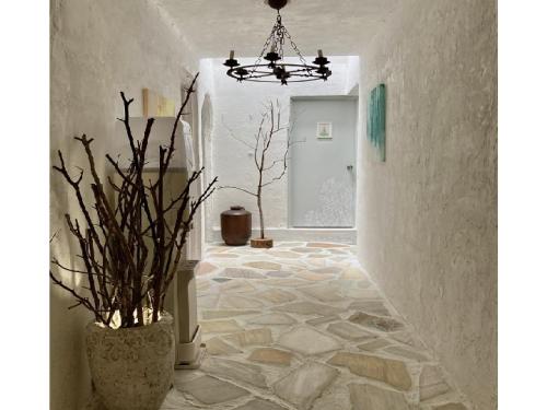 un pasillo con una lámpara de araña y un jarrón en Gallery HARA & GUESTHOUSE - Vacation STAY 68643v en Hara