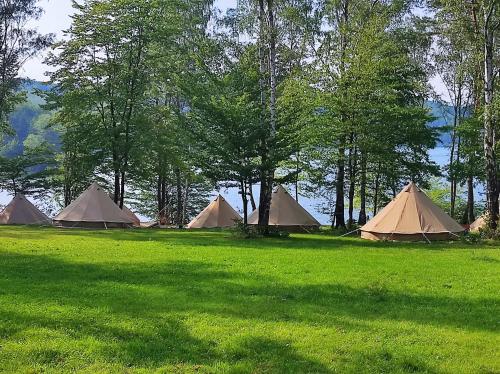 Gallery image of SolinaGlamp - Namioty nad Jeziorem Solińskim in Polańczyk