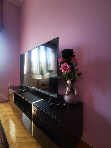 a living room with a tv and a vase with flowers at APARTAMENT MARIO bezpłatny parking in Bielsko-Biala