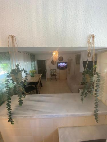 a living room with two potted plants on the ceiling at Studio Cleopatra in Kanali
