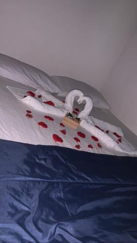 Pousada camping Recanto Joanópolis – Photos 3