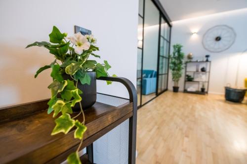 a vase with flowers on a counter in a room at BNF Lounge in Varaždin