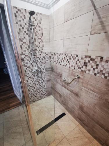 a shower with a glass door in a bathroom at APARTAMENT MARIO bezpłatny parking in Bielsko-Biala