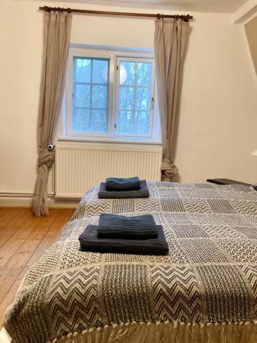 Postel nebo postele na pokoji v ubytování Backhaus - Gut Wittmoldt