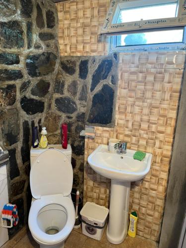 a bathroom with a toilet and a sink at Guesthouse Tanano/Dodo in Zhabeshi