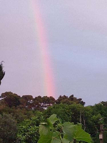 a rainbow in the sky over some trees at Casa Maja in Koločep
