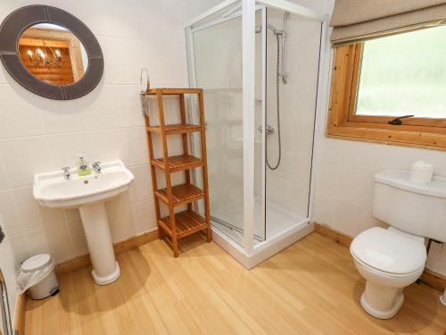 a bathroom with a toilet sink and a shower at 64 Acorn Lodge Kenwick Park in Louth