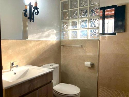 a bathroom with a toilet and a sink and a mirror at Finca Villa Coral in Cazalla de la Sierra