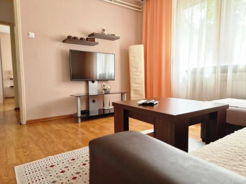 sala de estar con sofá, mesa y TV en Spago Apartment, en Konjic